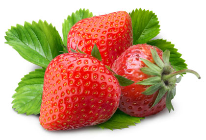 Item-Fraises cn 48-1.jpg