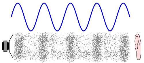 Source : https://commons.wikimedia.org/wiki/File:CPT-sound-physical-manifestation.svg