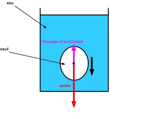 Loeuf qui flotte Archimede coule.jpg