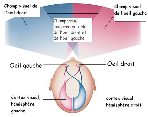 Source : Medical Actu