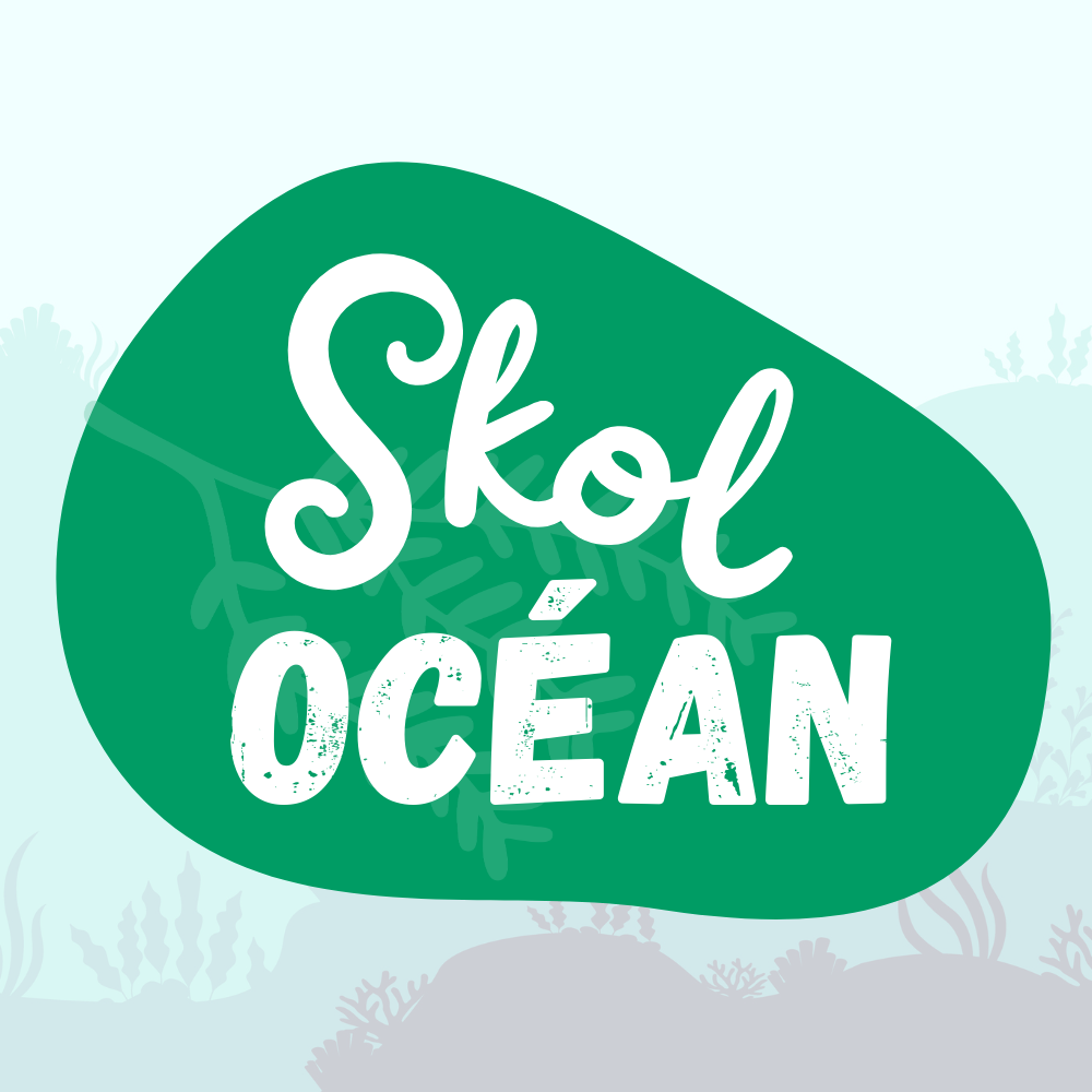 Group-Skol Ocean Decouvrir les algues 5.png