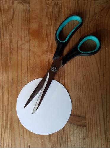 Thaumatrope Thaumatrope Cercle.jpg