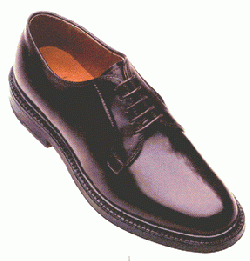Item-Chaussure 250px-Chaussure.gif