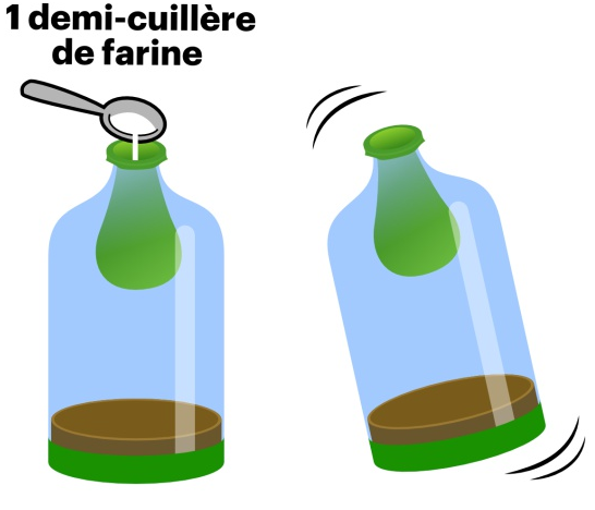 Drôle d'air dans mes poumons poumon-farine2.png