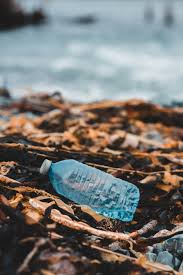 D_chets__microplastiques_et_d_gradation_dans_en_mer_images.jpg