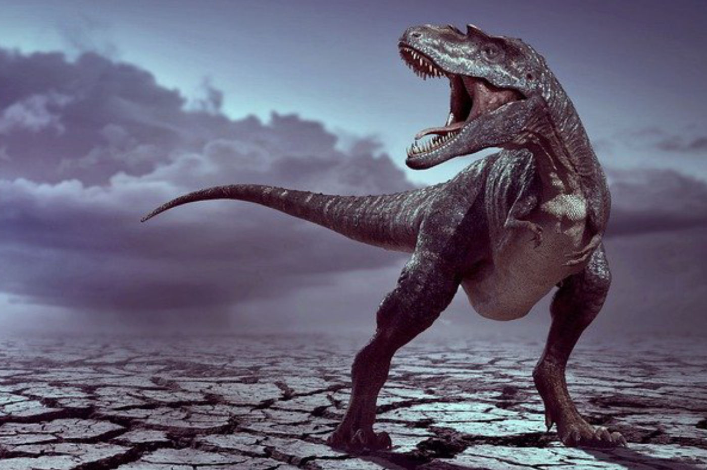 Group-D roul p dagogique du mini-stage dinosaures tyrannonsaure cr tac .jpg