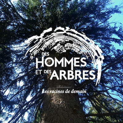 Group-La diversit des arbres Artboard 1.jpg