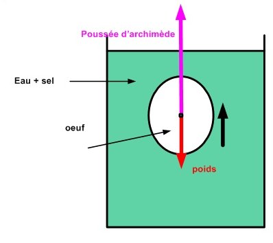Loeuf qui flotte Archimede flotte.jpg