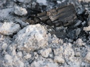 Item-Cendre 180px-Cendres.jpg