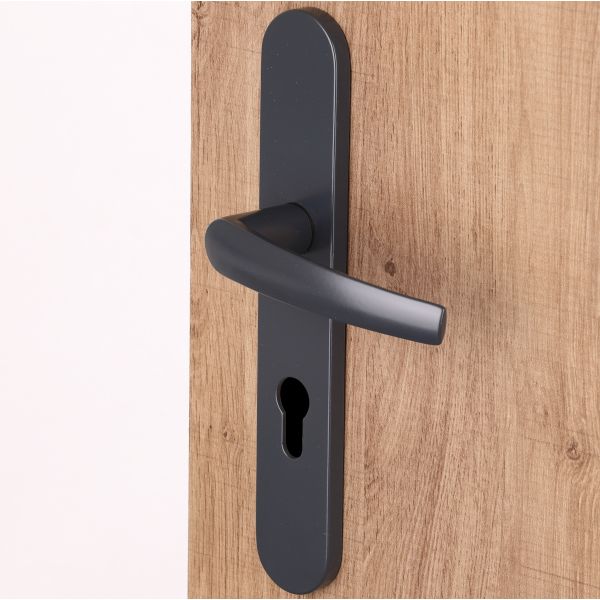 Group-Porte Cin tique poignee-de-porte-dentree-specifique-2183502.jpg