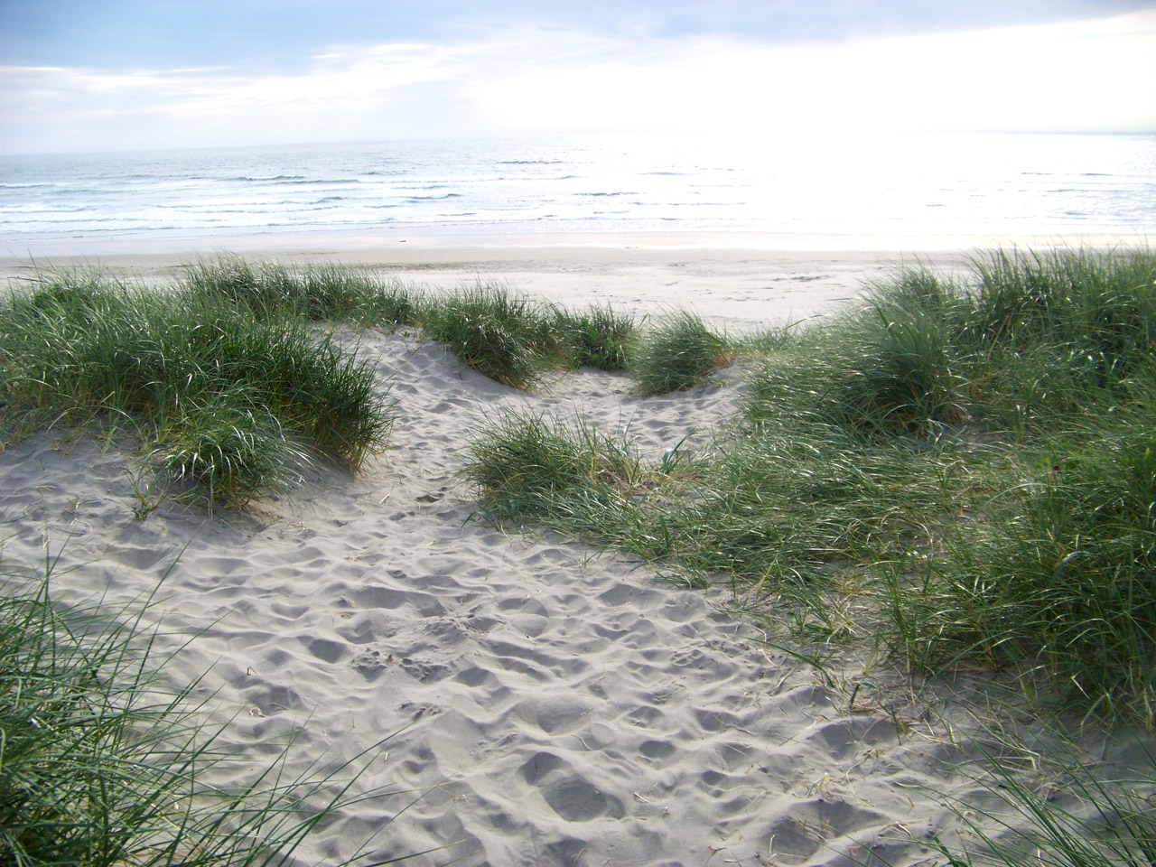 Group-S adapter au changement global en bord de mer sand-dunes-PublicDomain.jpg