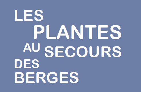 Les plantes au secours des berges CaptureTitreFichePlantesBerges.JPG