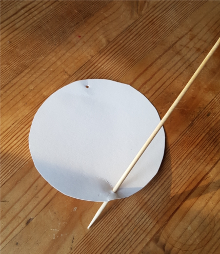 Thaumatrope Thaumatrope percer.jpg