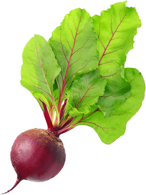 Photographie v g tale beet PNG13.png