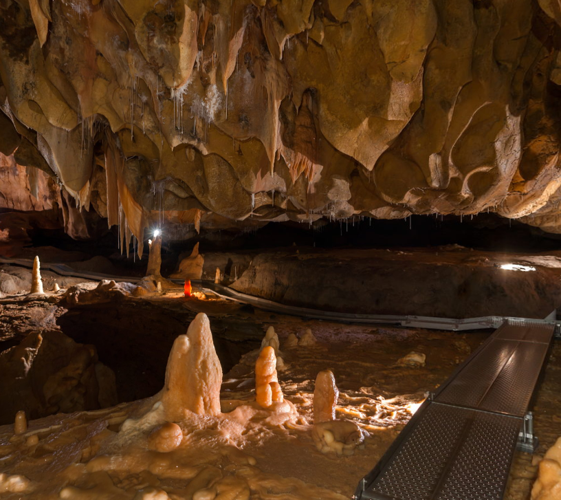 Group-Grotte Chauvet vue d ensemble d une salle.png