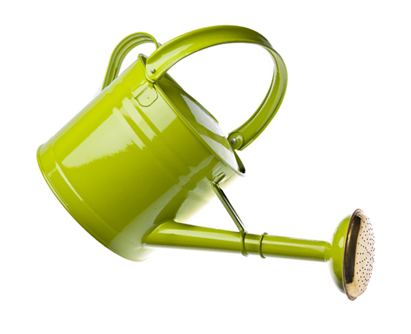 Item-Arrosoir Arrosoir.jpg
