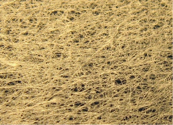 Zoom sur un sachet de thé : on distingue bien les fibres du papier