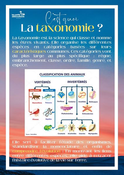 Fichier:Classification du vivant marin 4.jpg