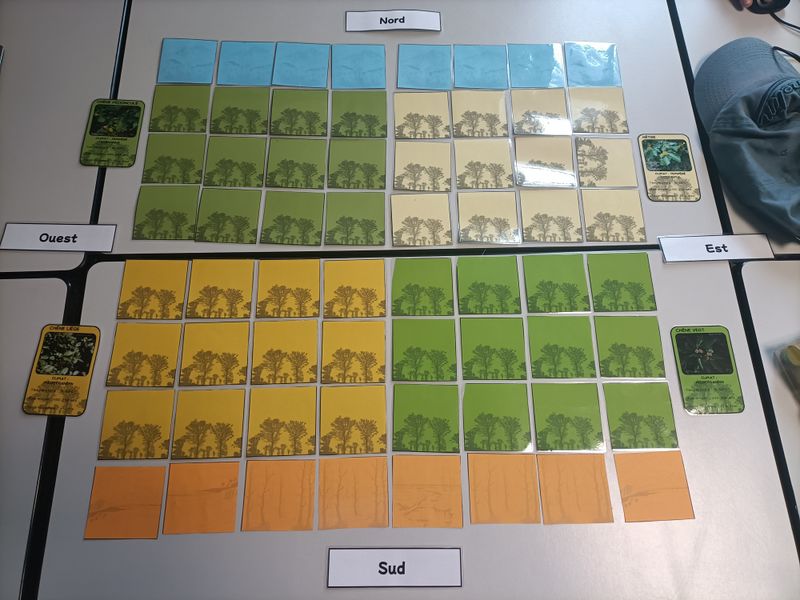 Fichier:Plante vs climat IMG20250528094859.jpg