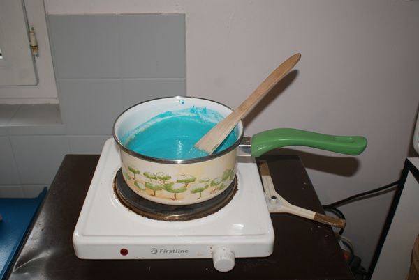 P te modeler DSC09713.JPG