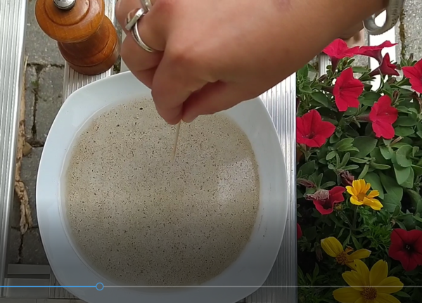 Poivre dans l eau poivre.PNG