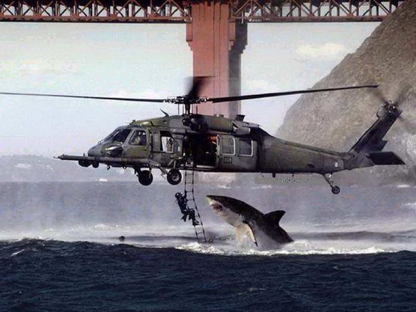 Chasse aux infox les-15-photos-truquees-les-plus-celebres-et-souvent-prises-au-serieux-23783.jpg