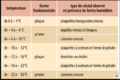 Vignette pour la version du 1 avril 2020 à 19:08