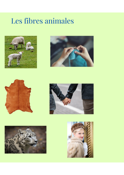 Fichier:Les fibres textiles 3.png