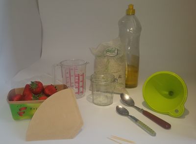 Extraction_d'ADN_de_fruits_Extraction_ADN.jpg