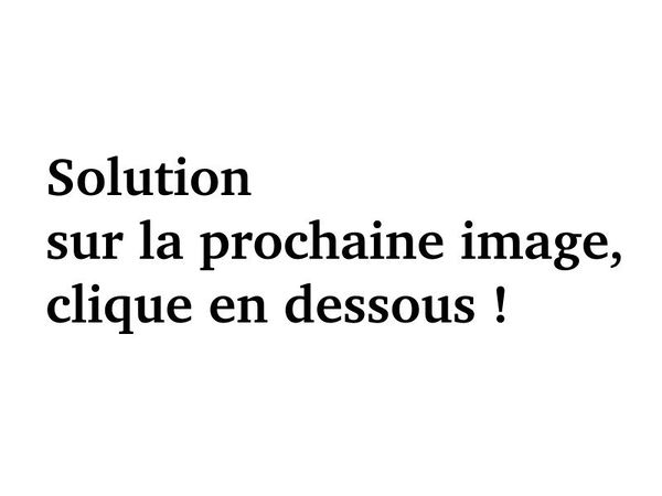 Clous en quilibre image suivre.jpeg