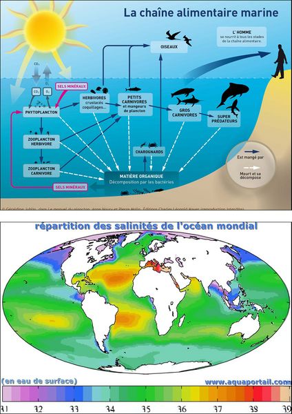 Fichier:Item-Visuels annexes 3.jpg