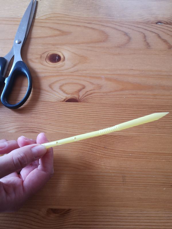 Paille son IMG 20200330 174601-min.jpg