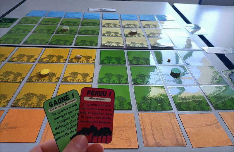 Fichier:Plante vs climat IMG20250530142930.jpg