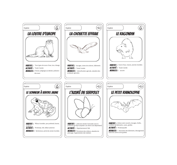 Cartes jeu bioversant.png