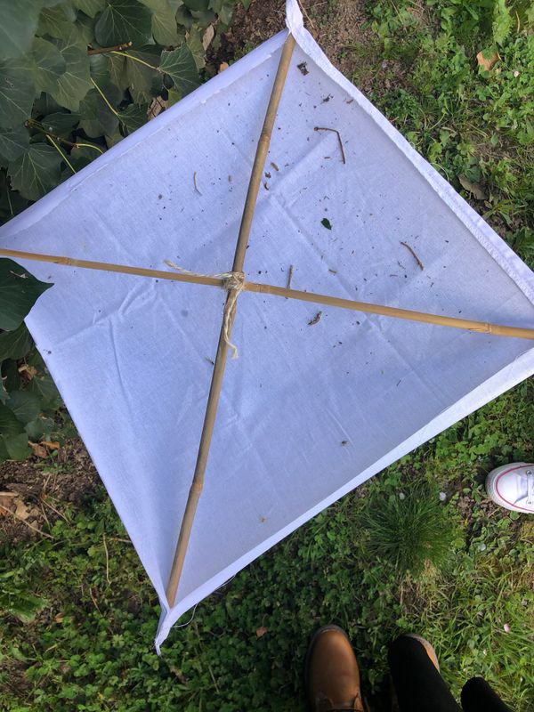 Parapluie japonais.jpeg