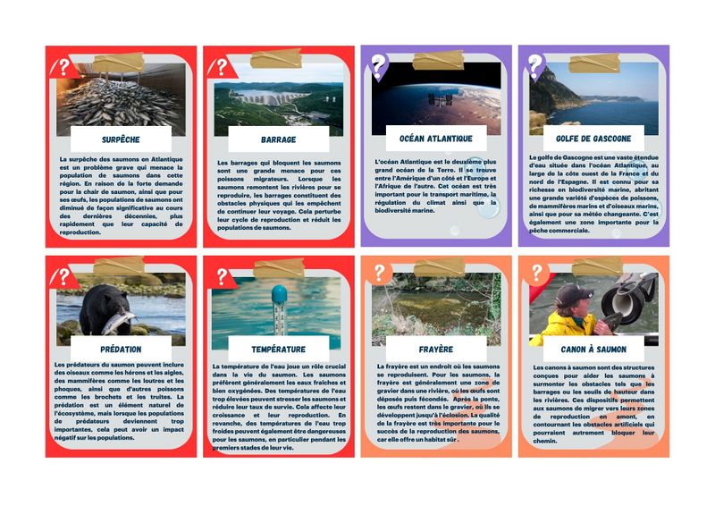 Fichier:Routes et migrations 22.jpg