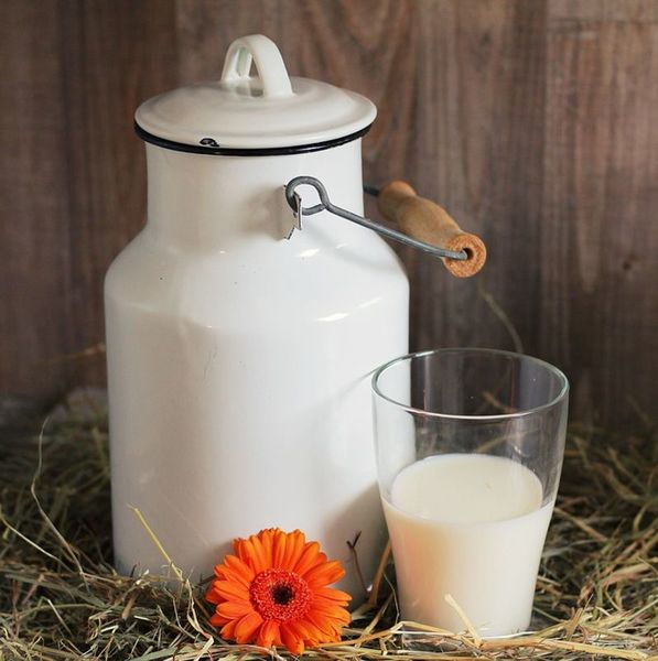 Fichier:Item-Lait lait wiki.jpg