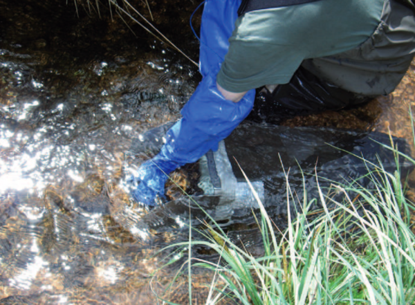 D termination des invertb res d eau douce Sans titre.png