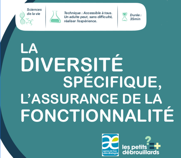 La diversit sp cifique l assurance de la fonctionnalit La diversit sp cifique l assurance de la fonctionnalit Sans titre.png