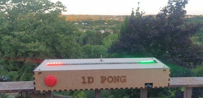 D1-Pong_20220725_212032.jpg