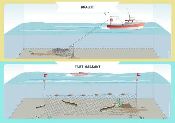 Identifier les techniques modernes de p che en mer 3 3.jpg
