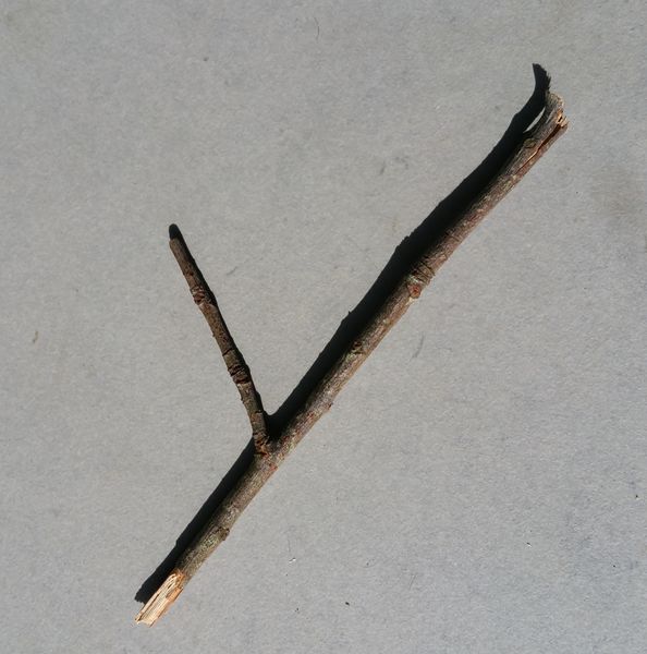 Fichier:Item-B ton Baton.jpg