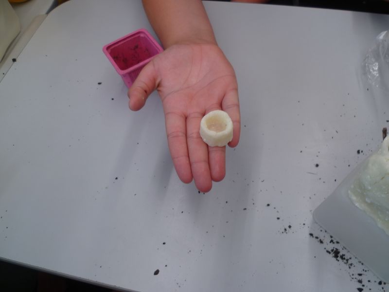Fichier:Bioplastique P1080498.JPG