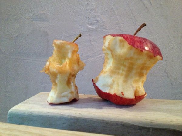 Item-Feuille d arbre apple-139437 960 720.jpg