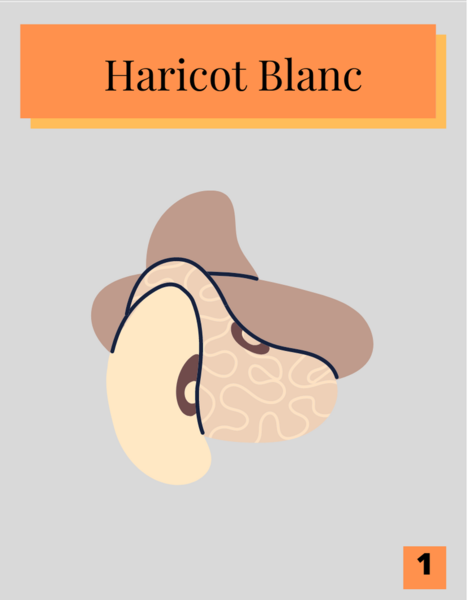 Fichier:Quiz sur les saisons 19.png