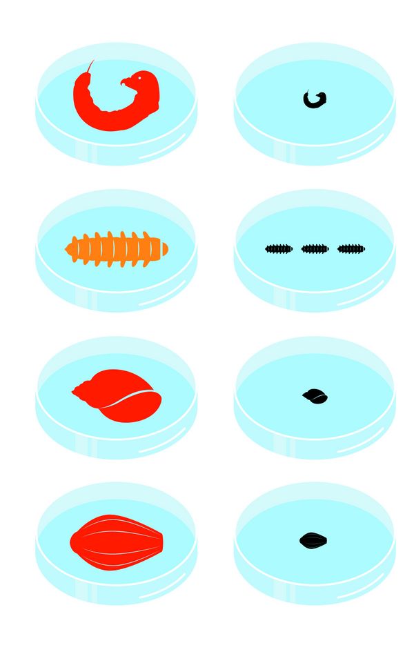 Les indices biologiques de qualit de l eau StationBiocide-Resu.jpg