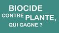 Vignette pour la version du 31 janvier 2023 à 17:24