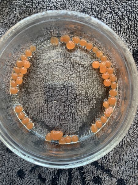 Fichier:Caviar de ketchup image00004.jpeg