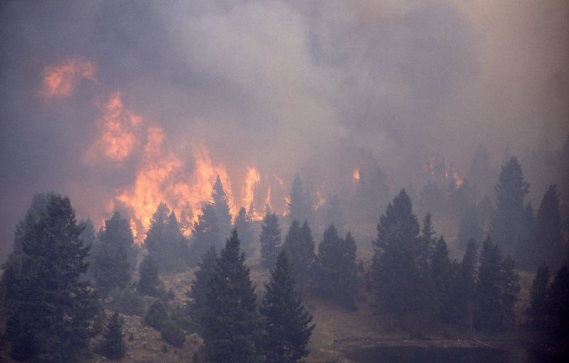 Fichier:Incendie de foret-DomainePublic-red.jpg
