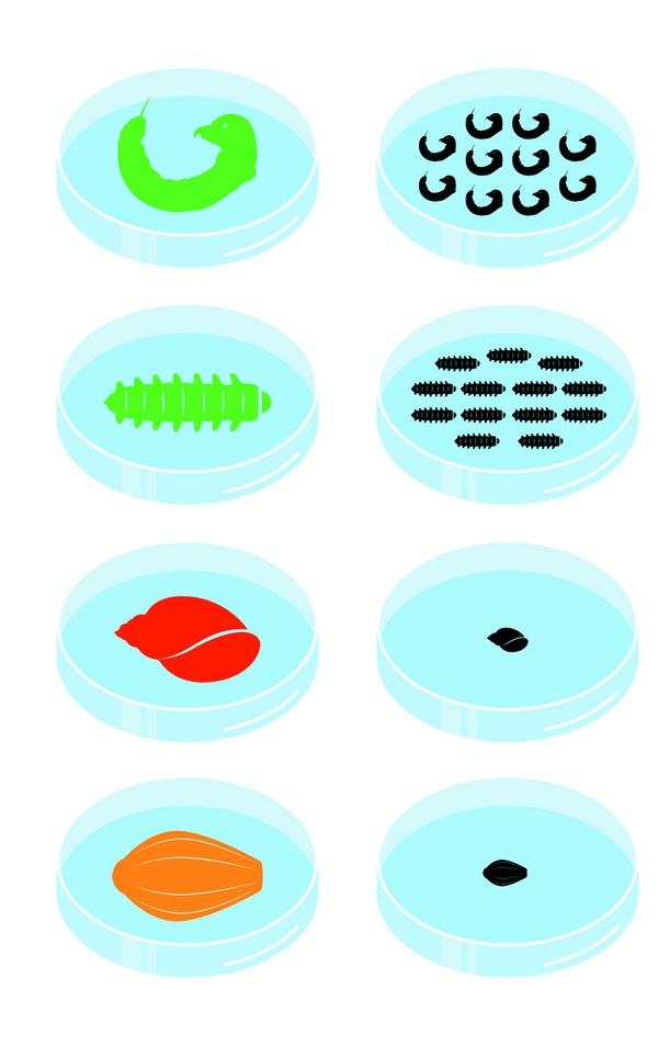 Les indices biologiques de qualit de l eau StationRef-Resu.jpg